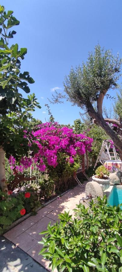La Casa Di Mariu Bed & Breakfast Furnari Bagian luar foto